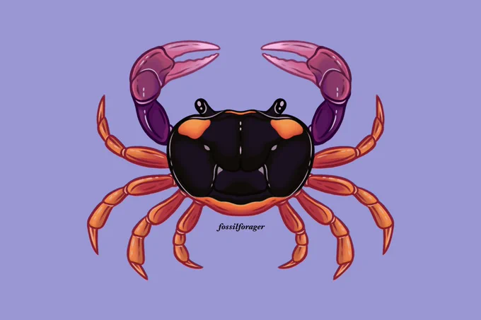 Halloween moon crab!!  
