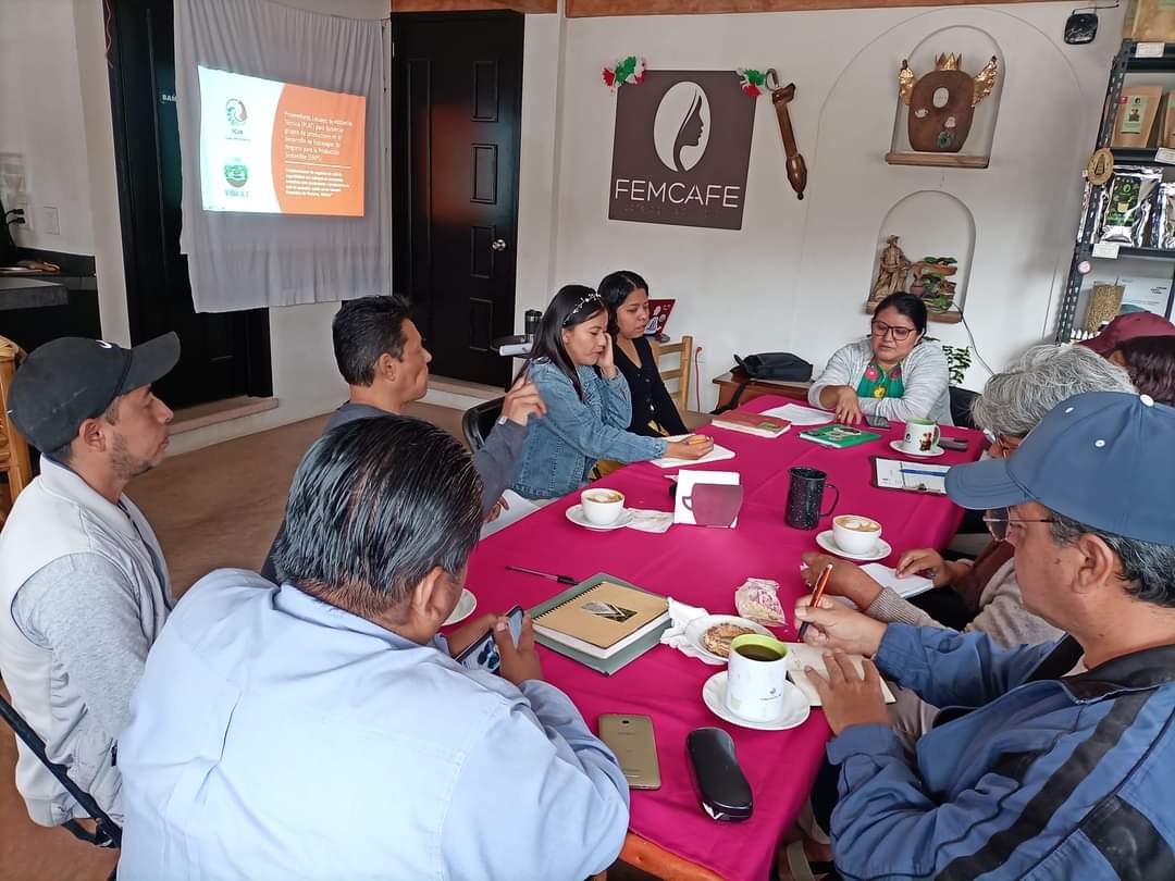 CafeFemcafe's tweet photo. Reunión de diagnóstico participativo para la determinación de una Estrategia de Negocios para la Producción Sostenible (ENPS) como parte del Programa CONECTA de @FondoGolfoMex @Sader #VIDAAC
#CaféAgroecologíco https://t.co/3mpws9AGlx