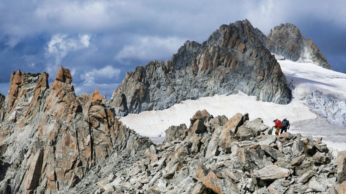 Al Powell tweet media