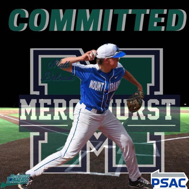 Steel City Wildcats tweet media