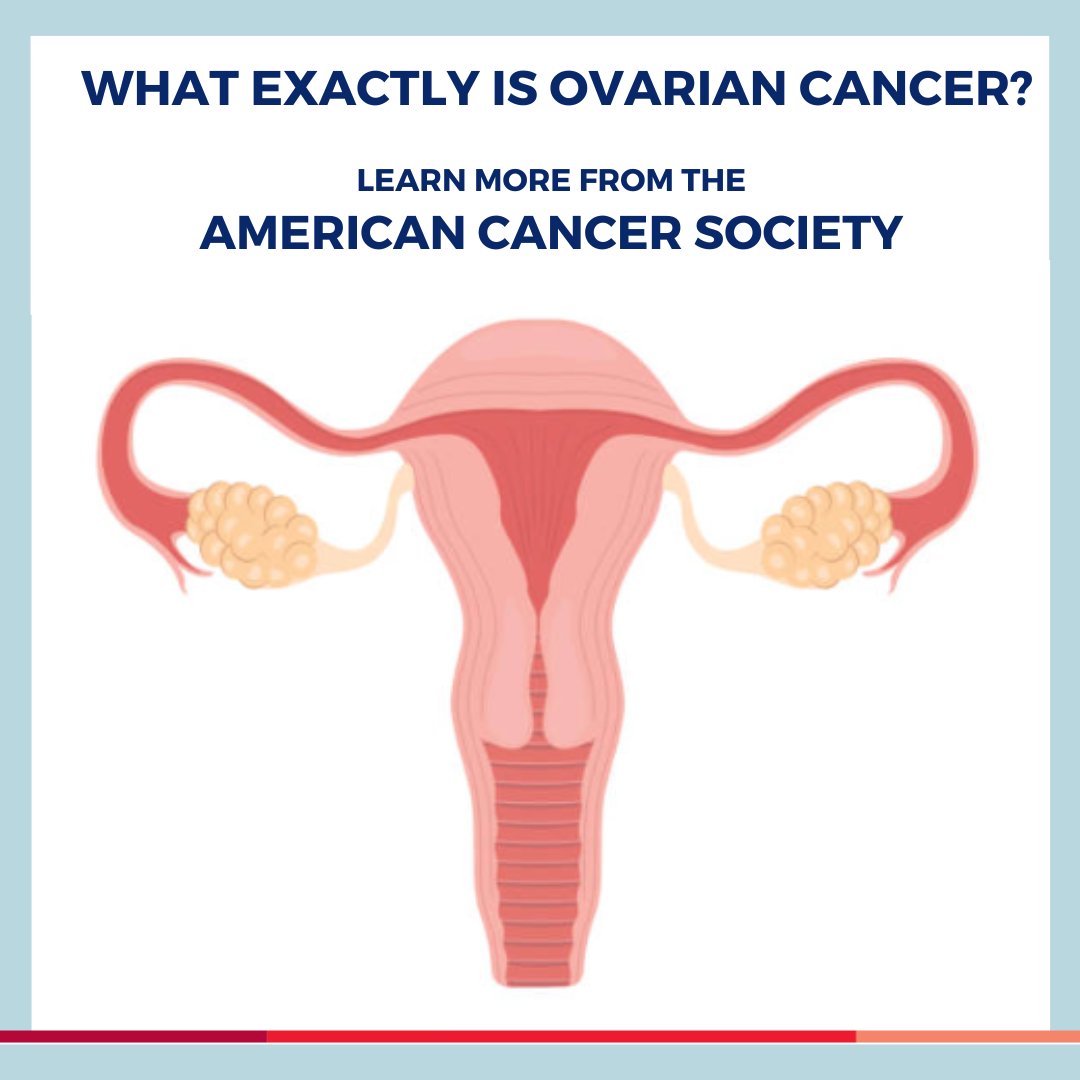 BasserBRCA's tweet image. What exactly is ovarian cancer? Our friends from the @americancancersociety break it down for us: spr.ly/6019MMlNX 

#OvarianCancerAwarenessMonth #brca #brca1 #brca2 #hereditarycancer #ovariancancerawareness #ovariancancer #familyhistory #raisingawareness #genetictesting