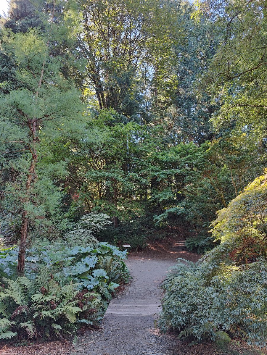 Level Zero tweet media