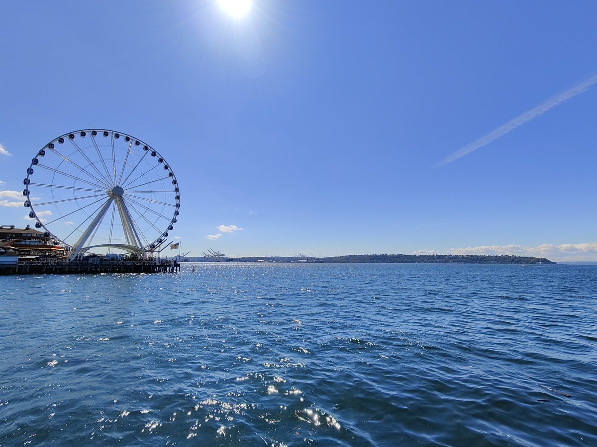 Level Zero tweet media