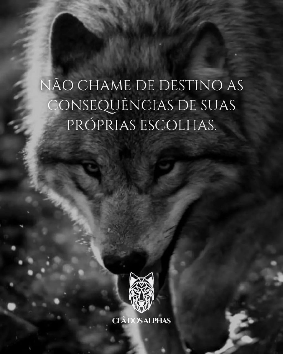 OfcJong's tweet photo. ╰━┳━ 🌠🌠🌠
╭┈╋━⭕LL⭕W༄ 
𝙎𝙄𝙂𝘼𝙈-𝙈𝙀 ⤵️
┣➤ @Ofcjong ✅
┣➤ @JongSdv ✅
#QuartaResgateSDV https://t.co/lpMN7lJV2Y