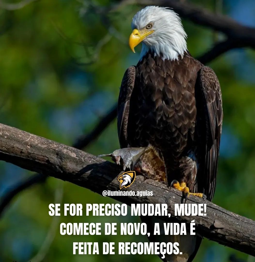 OfcJong's tweet photo. ╰━┳━ 🌠🌠🌠
╭┈╋━⭕LL⭕W༄ 
𝙎𝙄𝙂𝘼𝙈-𝙈𝙀 ⤵️
┣➤ @Ofcjong ✅
┣➤ @JongSdv ✅
#QuartaResgateSDV https://t.co/6DkXpW2m1a