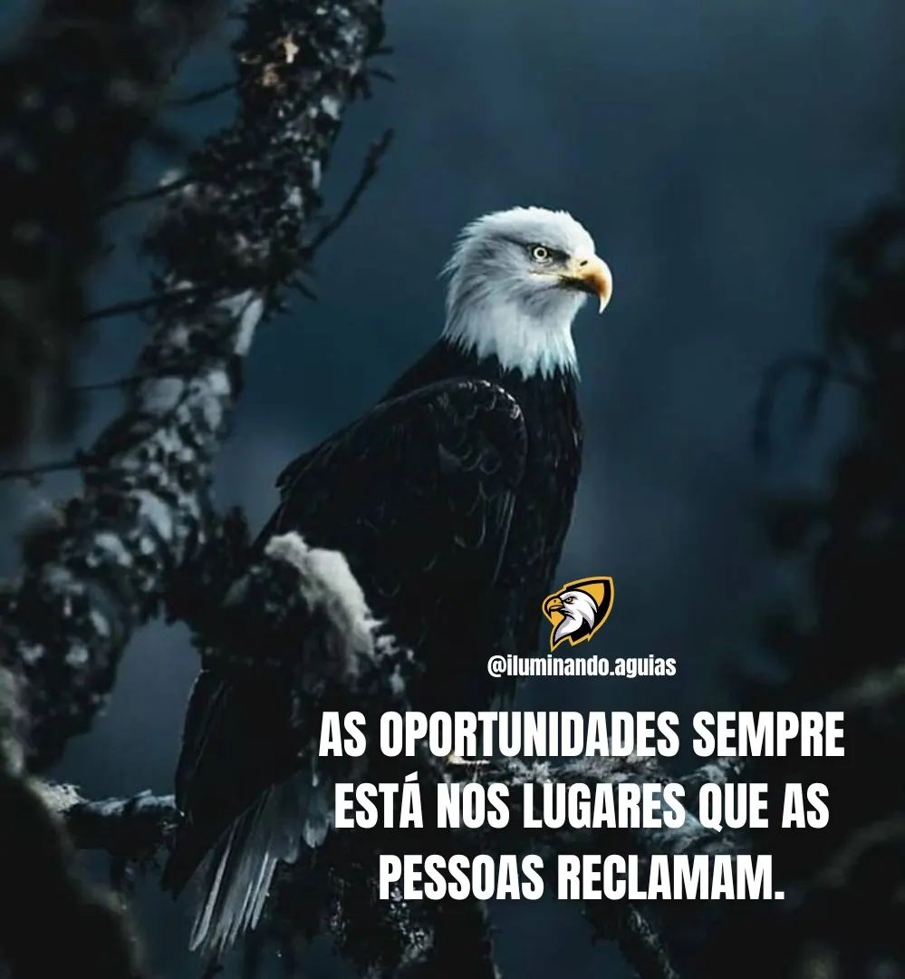 OfcJong's tweet photo. ╰━┳━ 🌠🌠🌠
╭┈╋━⭕LL⭕W༄ 
𝙎𝙄𝙂𝘼𝙈-𝙈𝙀 ⤵️
┣➤ @Ofcjong ✅
┣➤ @JongSdv ✅
#QuartaResgateSDV https://t.co/WjHNlBYt35