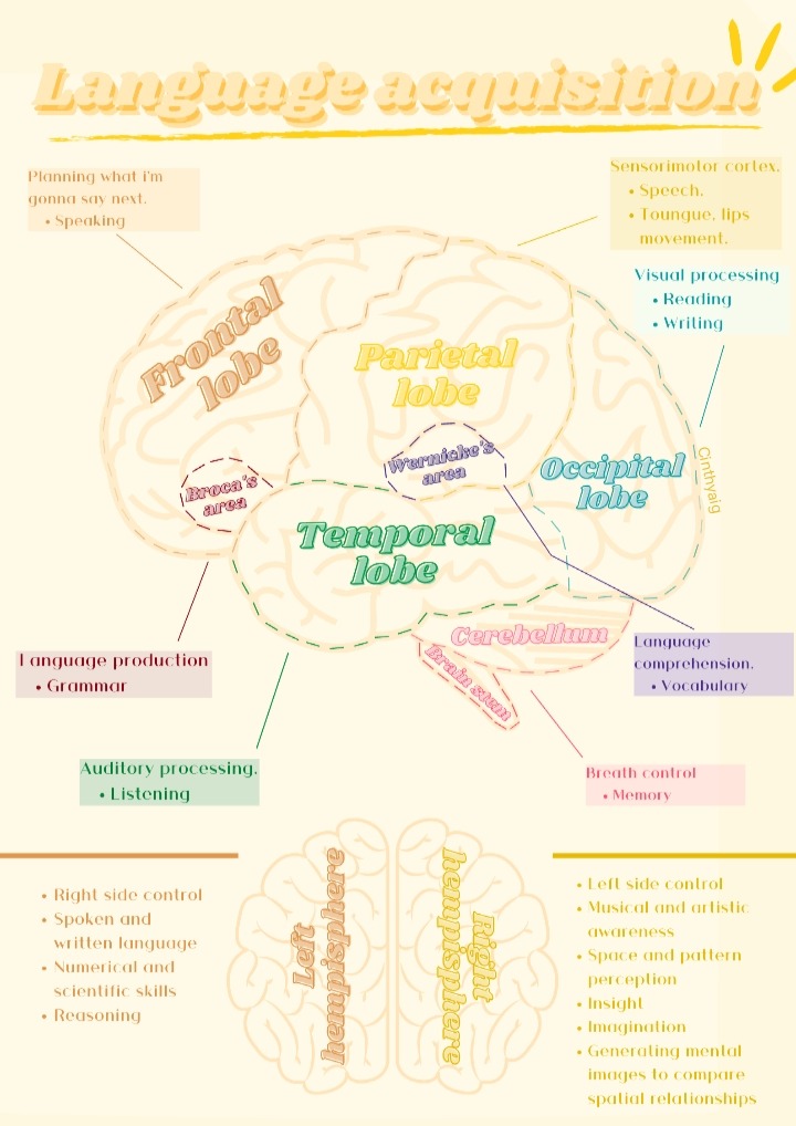 MELLIFLUOUSV0IR's tweet photo. Do you know what psycholinguistics is? Well, this is a branch of science which studies the relationship between brain-language and how are they involved when we acquire, comprehend and use a language.
#ENSJ #WhatIs #Psychilinguistics #MentalProcess @ItzaFM @ensjedumx https://t.co/nyW1faTyJt