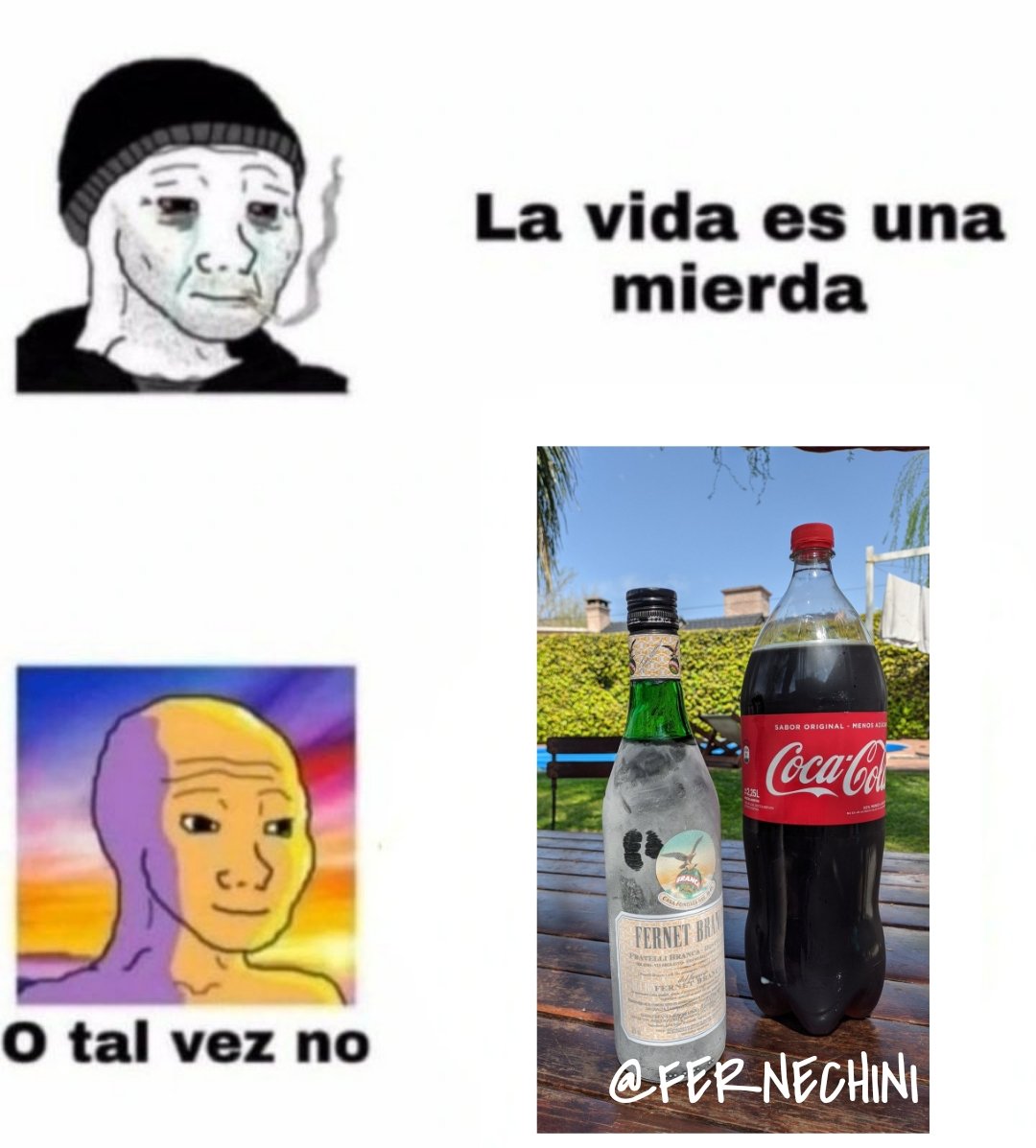 Amor al Fernet (@fernechini) on Twitter photo 