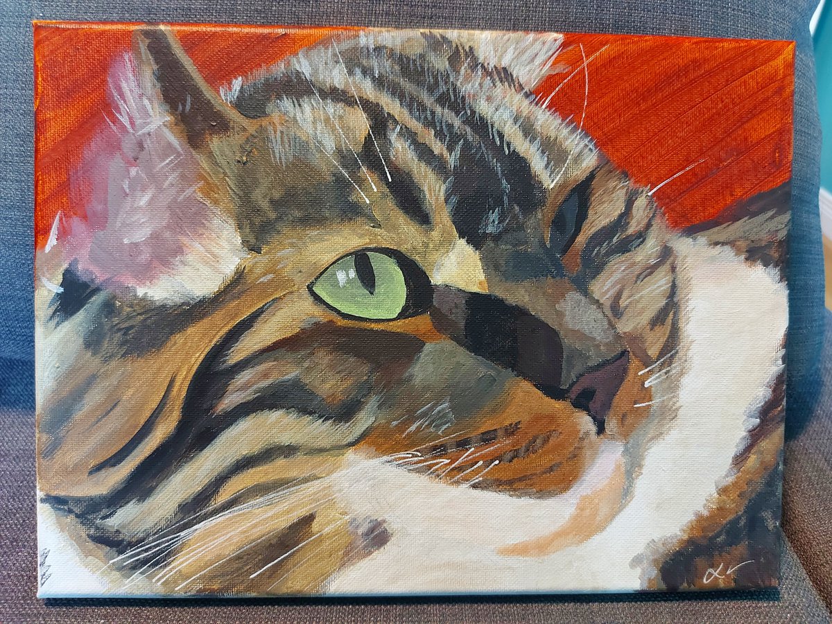 Tshaz7's tweet photo. I didn't post this one back in May, because it was for a gift, but now that I no longer have to keep it a surprise, here it is 💙 https://t.co/NFbDgW3xxM