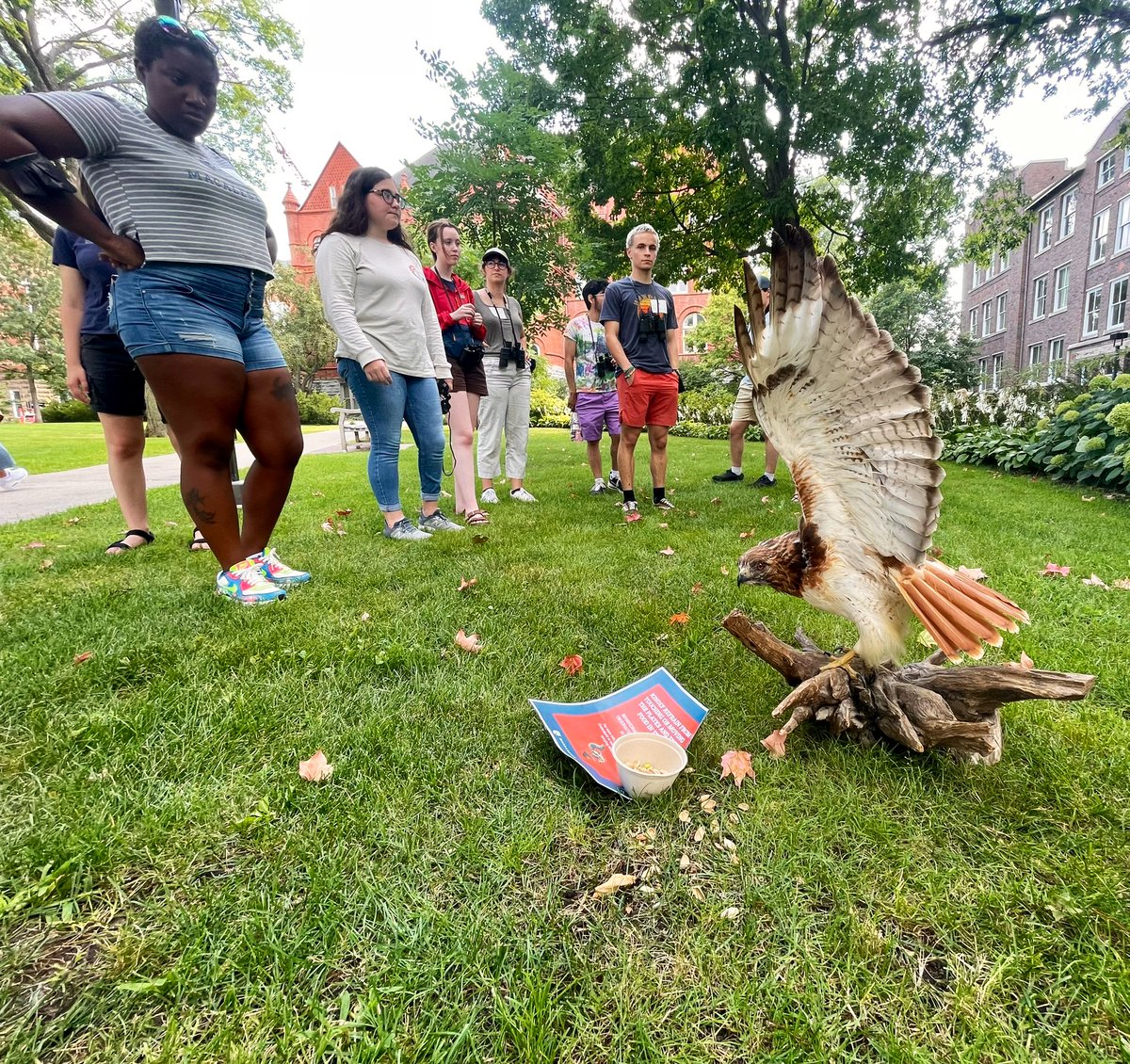 StotraChakraba2's tweet photo. #heymac kicked off Lab1 for my #AnimBehav course - an intro for students to think ‘how to ask questions’ 😊 Lab involved a buffet (peanuts, shelled & unshelled pistachios) for 🐿 with/without a ‘dummy’ predator (mounted red-tailed hawk) around @MacEcology @MacalesterES 🧵 https://t.co/RLc5dmVvYB