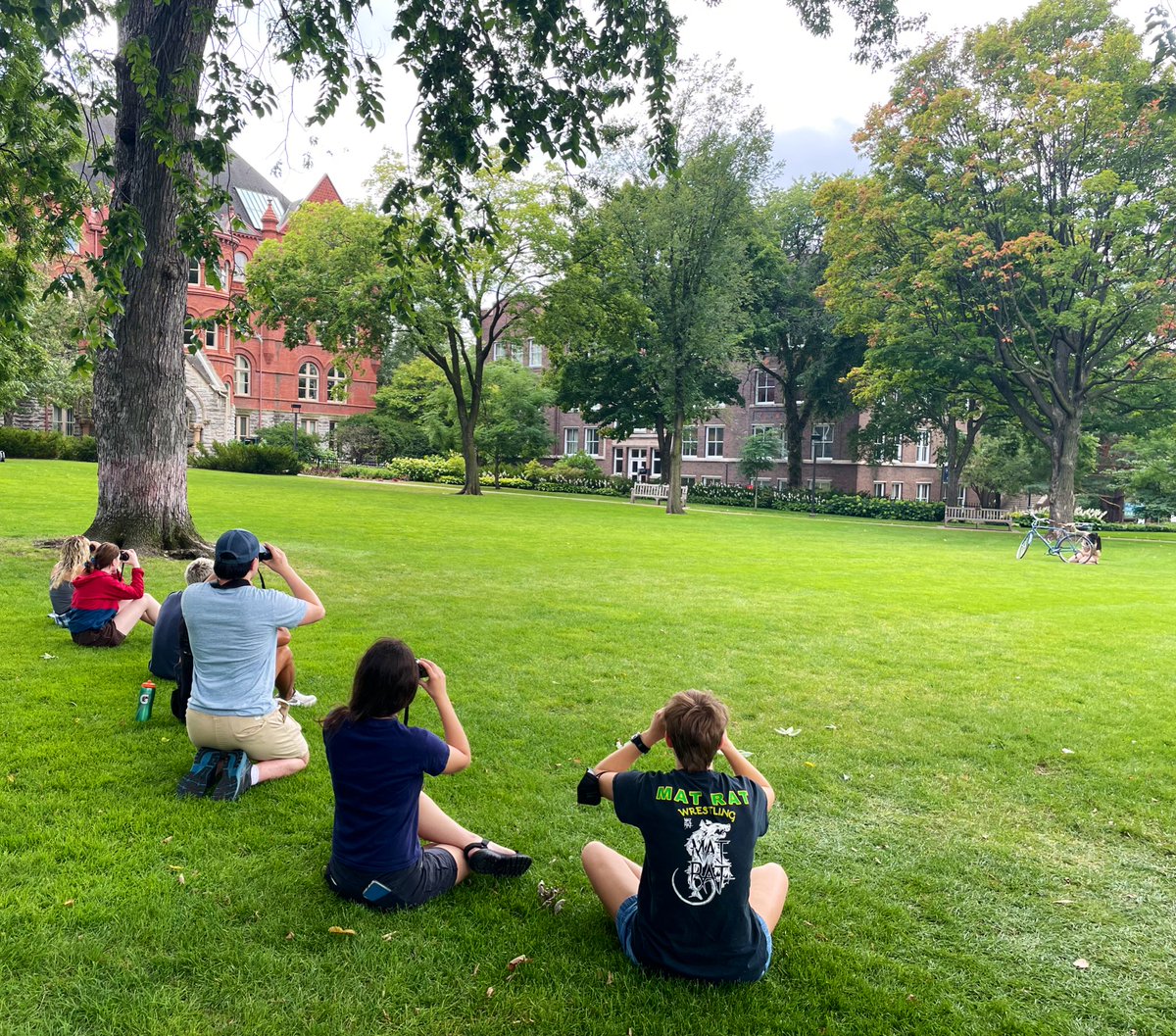 StotraChakraba2's tweet photo. #heymac kicked off Lab1 for my #AnimBehav course - an intro for students to think ‘how to ask questions’ 😊 Lab involved a buffet (peanuts, shelled & unshelled pistachios) for 🐿 with/without a ‘dummy’ predator (mounted red-tailed hawk) around @MacEcology @MacalesterES 🧵 https://t.co/RLc5dmVvYB