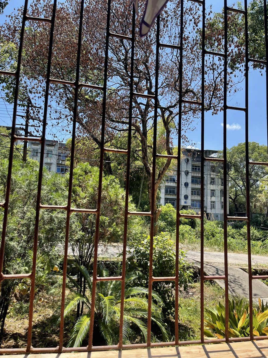 Hot summer in Aug, southern Hunan province