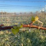 Photo by Trinity Hill (@trinityhillwine)