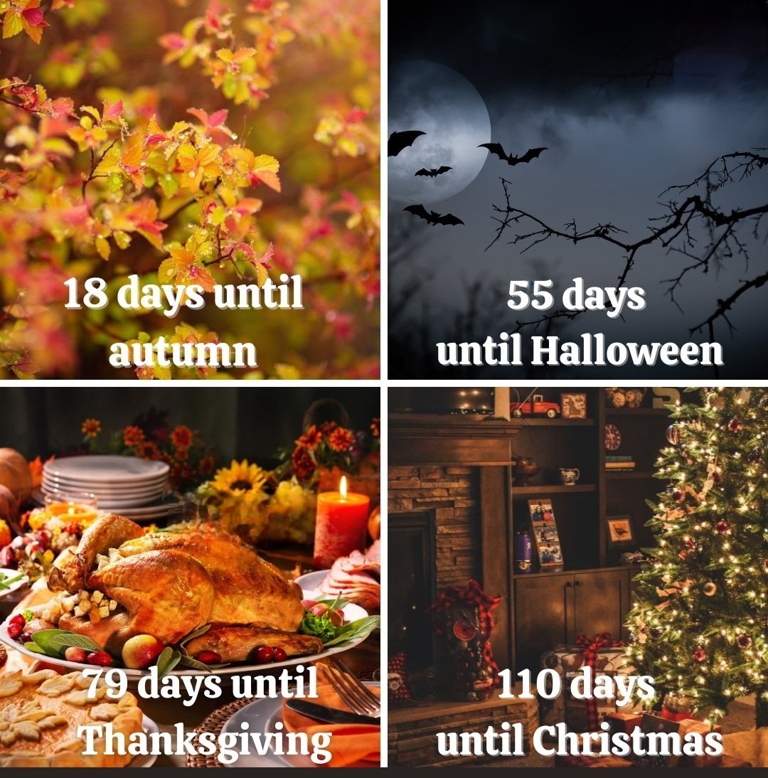 YMSL-CyFair (@ymsl_cyfair) on Twitter photo 