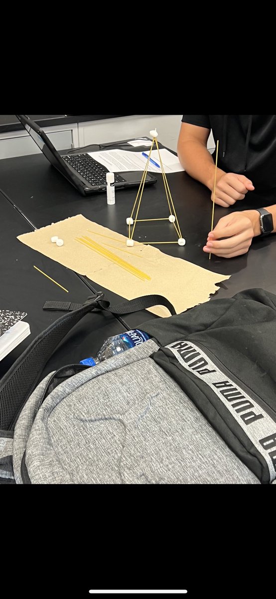 JMadison007's tweet photo. Who knew teenagers would be so engaged with spaghetti and marshmallows? 😂#NNPS #DHSscience https://t.co/Dzr0oU5ZjE