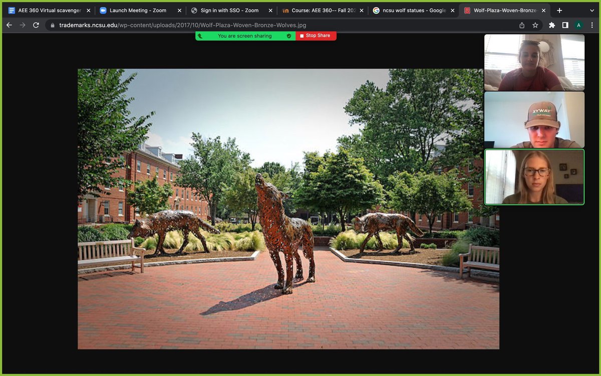abbypciha's tweet photo. @_Jackie_Bruce #TeamSim1 #Group8 #wolfpack #ncsu clue 1-4 https://t.co/Xz0iMaaxTM