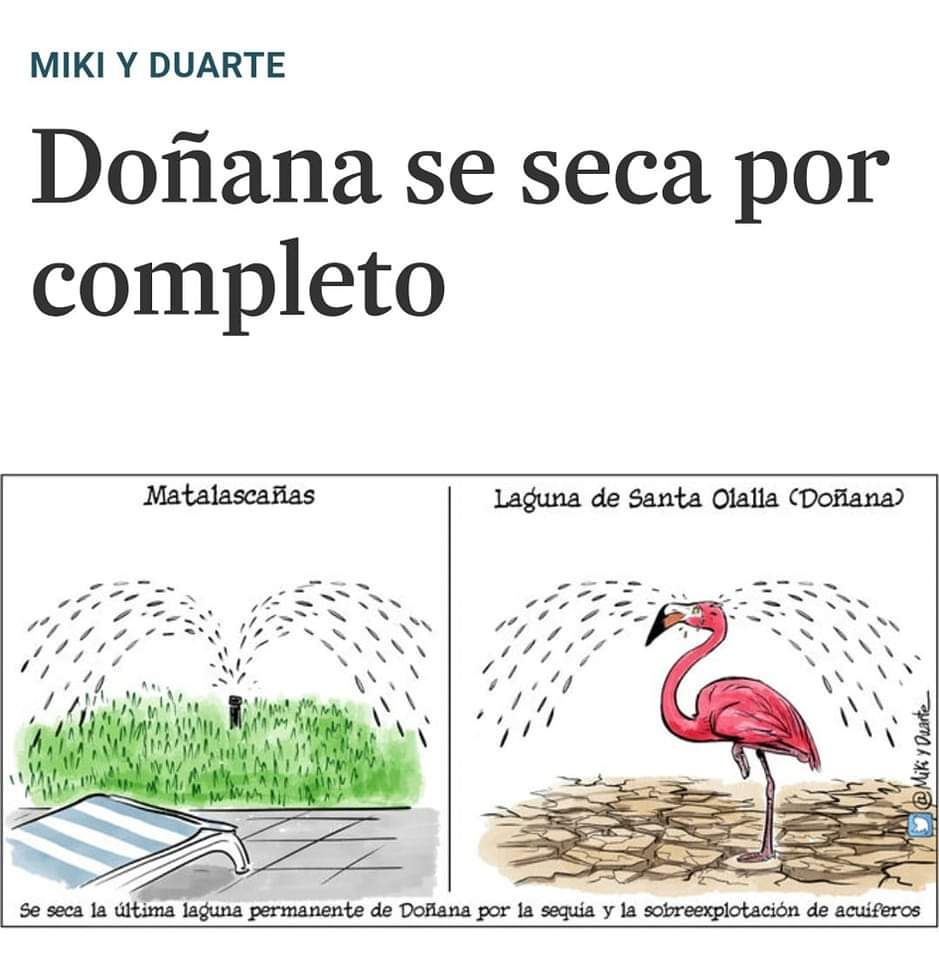 Mar Verdejo Coto tweet media