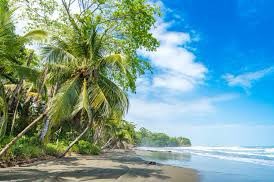 MaddieCrypto's tweet photo. @Aloki_io 
1. #BEAUTY of Nature is incredible…how can’t be inspired!!!
2. #LIFE of Costa Rica are just all paradise looking.
3. #Beaches are the most inspiring view … so relaxing 
#alokiregens https://t.co/NvE3O3F5RF