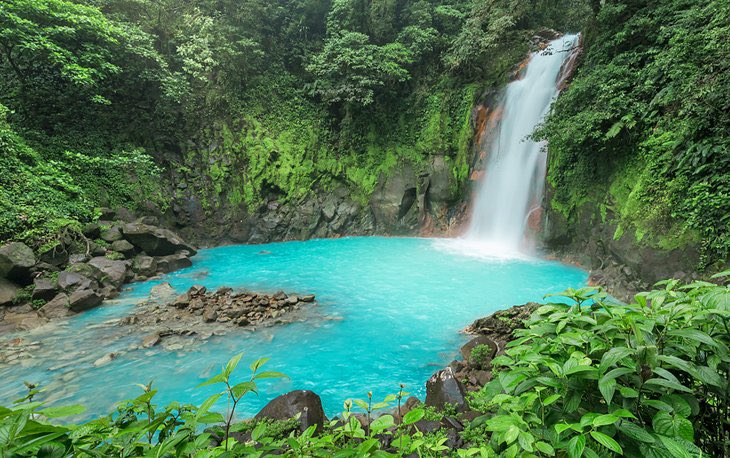 MaddieCrypto's tweet photo. @Aloki_io 
1. #BEAUTY of Nature is incredible…how can’t be inspired!!!
2. #LIFE of Costa Rica are just all paradise looking.
3. #Beaches are the most inspiring view … so relaxing 
#alokiregens https://t.co/NvE3O3F5RF
