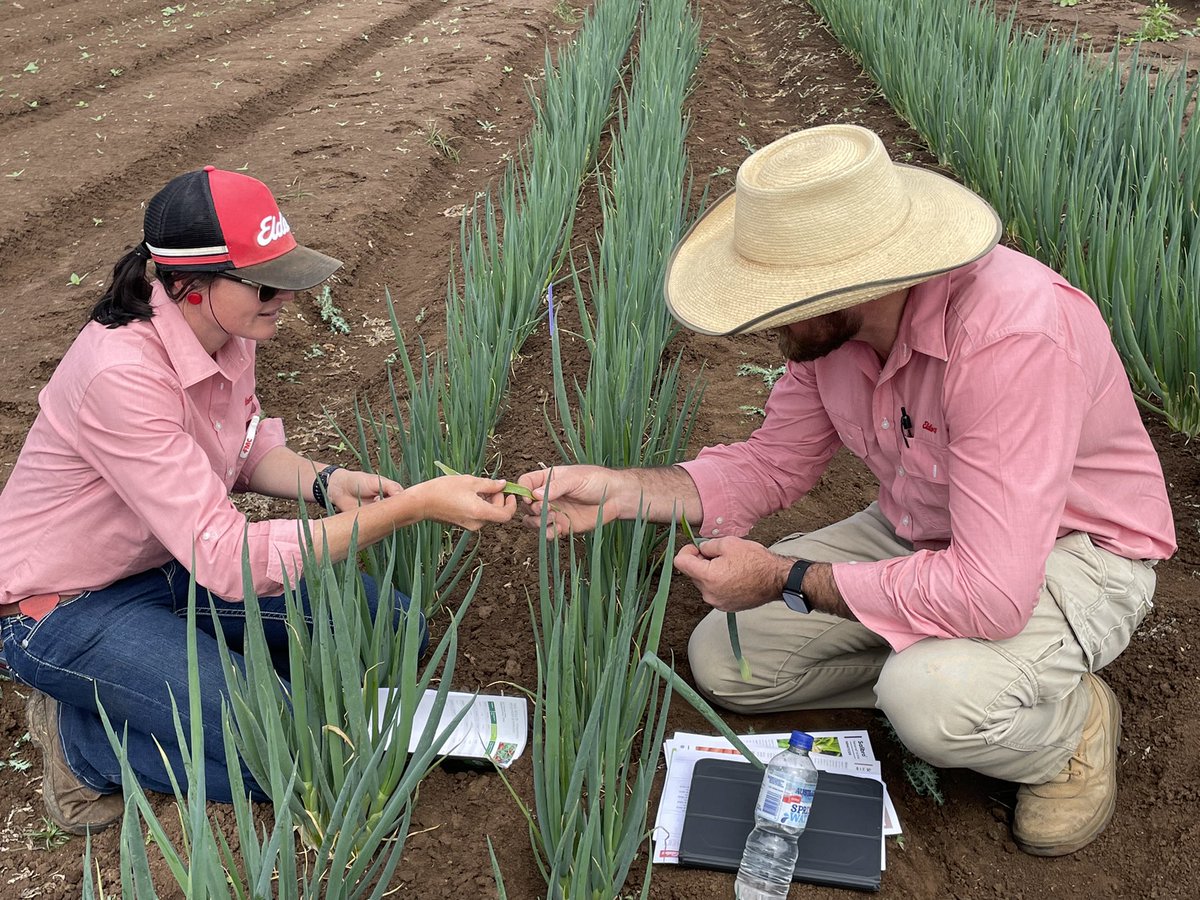 Another success story from the <a href="/EldersLimited/">Elders</a> Graduate Program 

<a href="/Tashschultz97/">Natasha Schultz</a> once Grad now Agro at Gatton teaching the the Old Dog a lot of Horticulture over the last week 
#AgVenger #Valkyrie #Kalbar #Elders