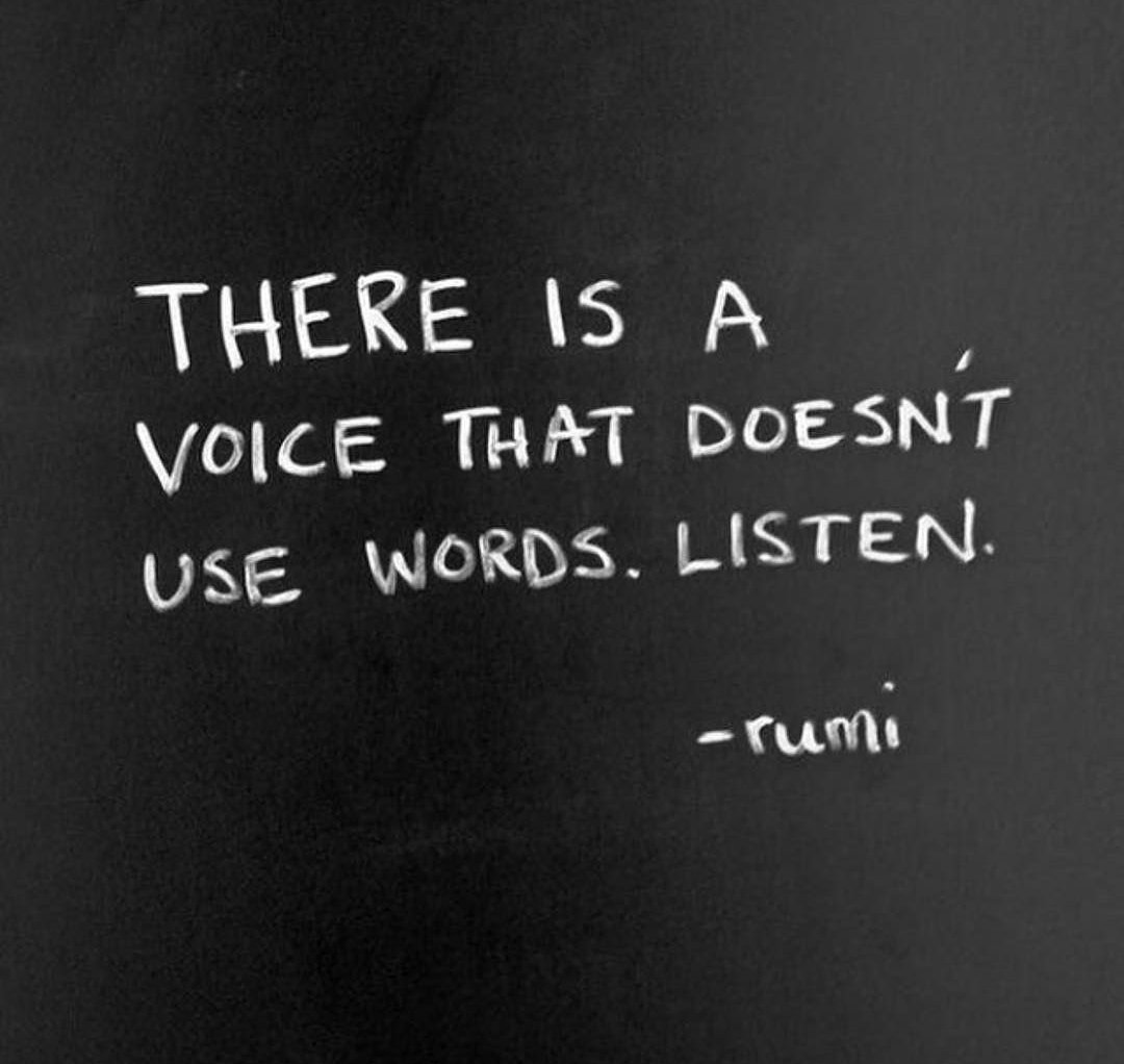 Brad Weinstein tweet media