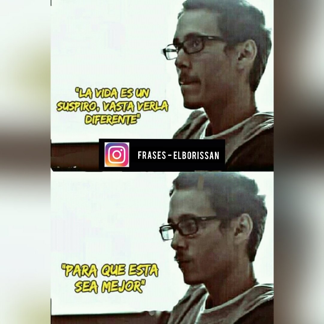 elborissan's tweet photo. #frases #frase #Canserbero #elborissan #desants1902 #girasoles_byg #frases_ec_elborissan #Ecuador https://t.co/NeCQtELS09