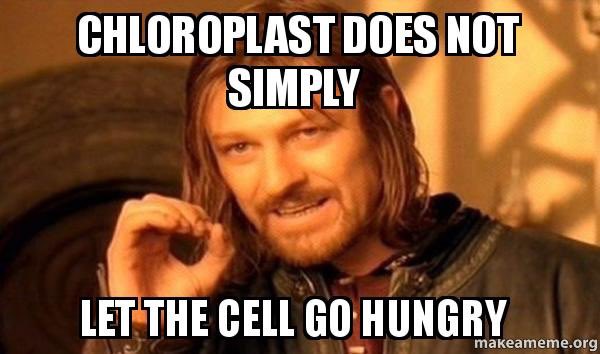 c_plast4prez's tweet photo. The grind never stops! 💪💪💪 #chloroplastforthecell #MHSOrganelleVote2022 https://t.co/XXyqHdHcMW