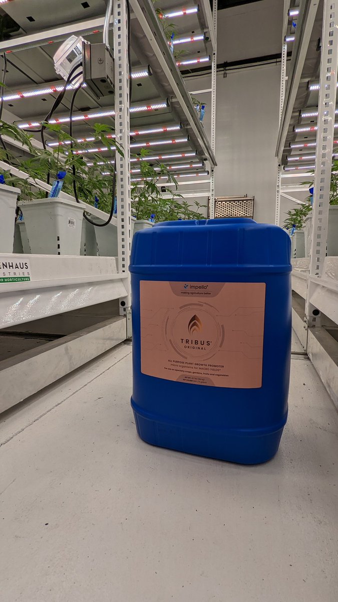 Impello Biosciences tweet media