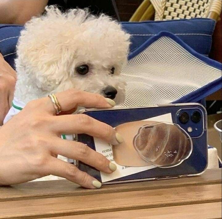 l1vstudy's tweet image. hi, it&apos;s liv . new to #studytwt and looking for moots

about me : 
— she/her, filo/eng 
— 07 liner, pieces, intp
— g10 student
— likes jp music, kpop, anime, manga

♡ / ↺ to be moots #studytwt