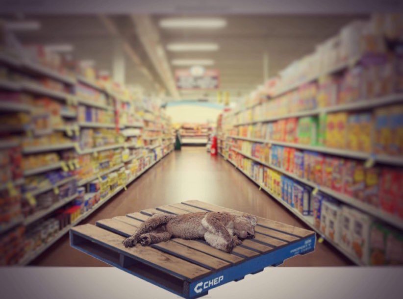 Merri Action for Forests on Twitter "We call on Coles, Woolworths and