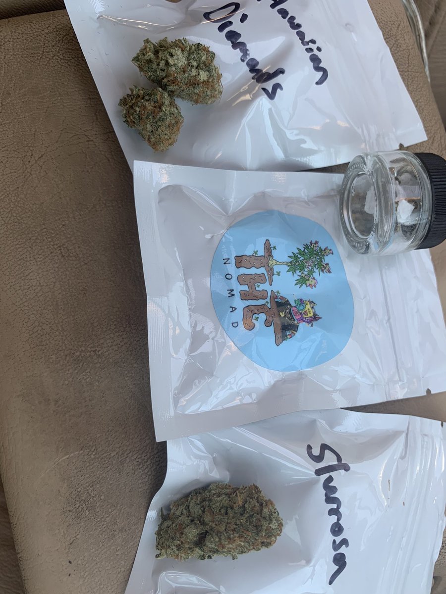 lilchronicccc's tweet photo. trying out some samples of the “H.D.” & the “Slurrrosa” which are the parent strains to my strain “Gutter Chronic” that’s otw! S/O my brother @PaperRouteDank 🔥🌱💨 very excited for the IP we’re building together on this!📈 putting these seeds in the vault😼 #Gang #GutterChronic https://t.co/4q2rDnadFv