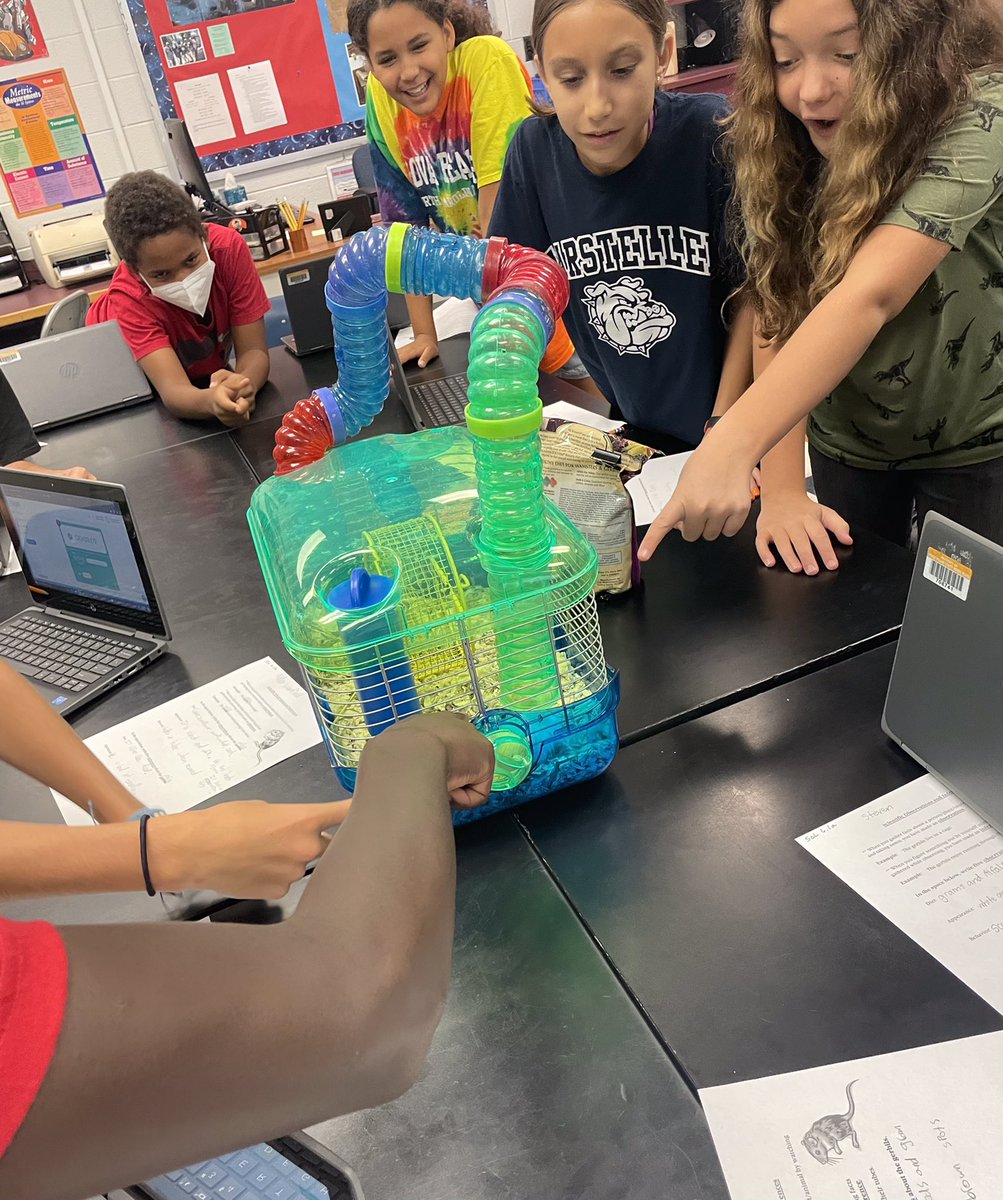 Marsteller MS tweet media