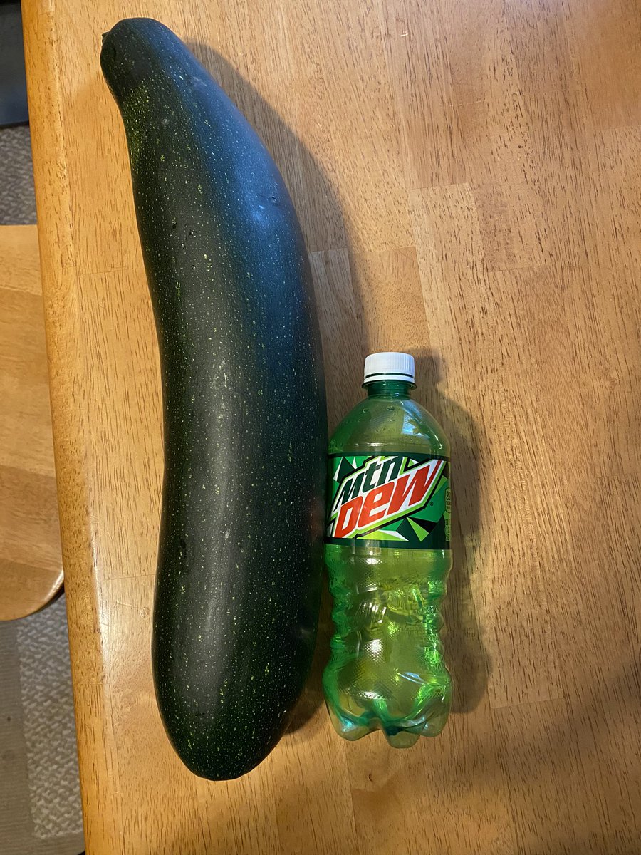 Stephanie M. DiMatteo tweet media