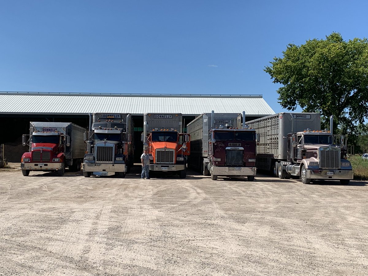 Local Trucking company servicing our area in Grey Bruce Counties. Good crew that knows how to handle livestock. #cattle #trucks