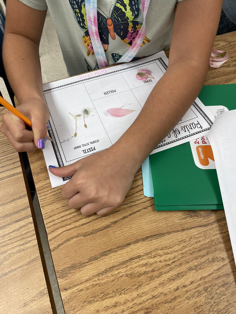 Enjoying our flower dissection lab today! <a href="/SeaGateES/">Sea Gate Elementary</a>