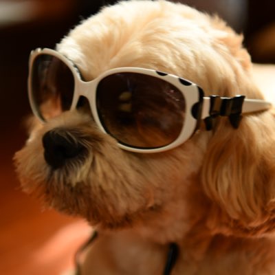 DerMarie0807's tweet photo. #新しいプロフィール画像 https://t.co/2kFmKe9skF