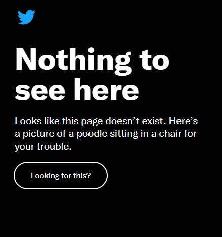 OfSolitarius's tweet photo. ||. Like, don't get me wrong, thank you for the picture of a poodle sitting on a chair but why does the home page/feed not exist? https://t.co/PfmMz34wtC