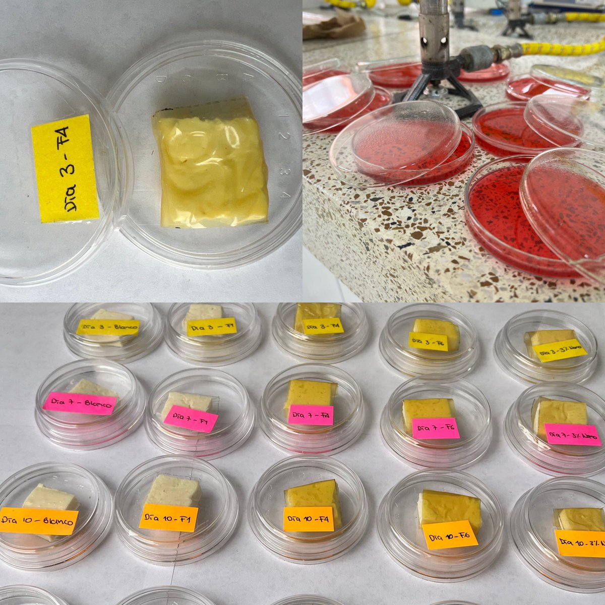 Aplicación de empaques biodegradables para conservación de alimentos <a href="/AlimentosUNAD/">Alimentos UNAD</a>