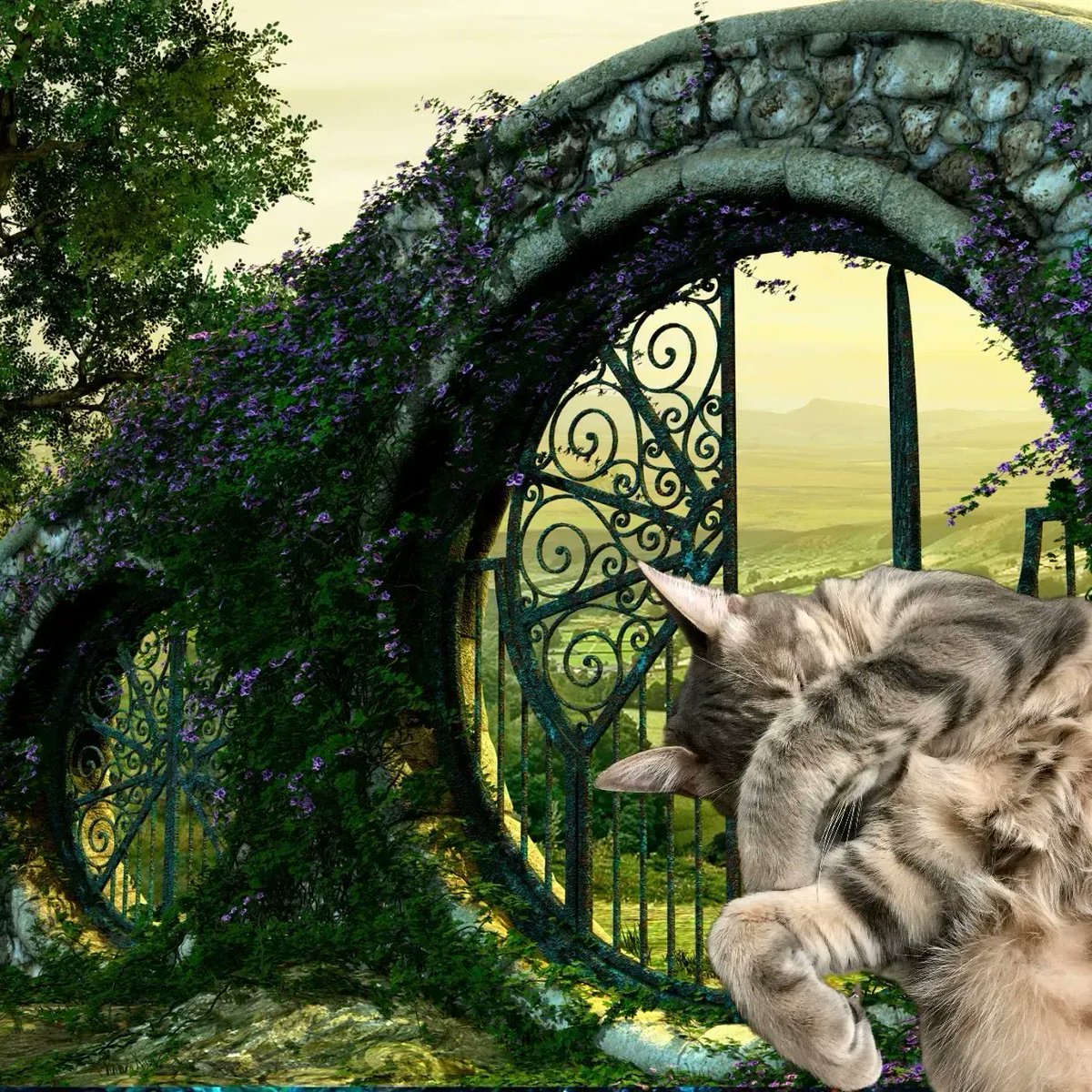 WayofCatsbook's tweet photo. Bud guarded the gate. His fee was one gentle belly rub.
#BudBudtheSpud #CatsofTwitter #CatHearts #CatsofImagination #Fantasy https://t.co/it2sUh1f7X