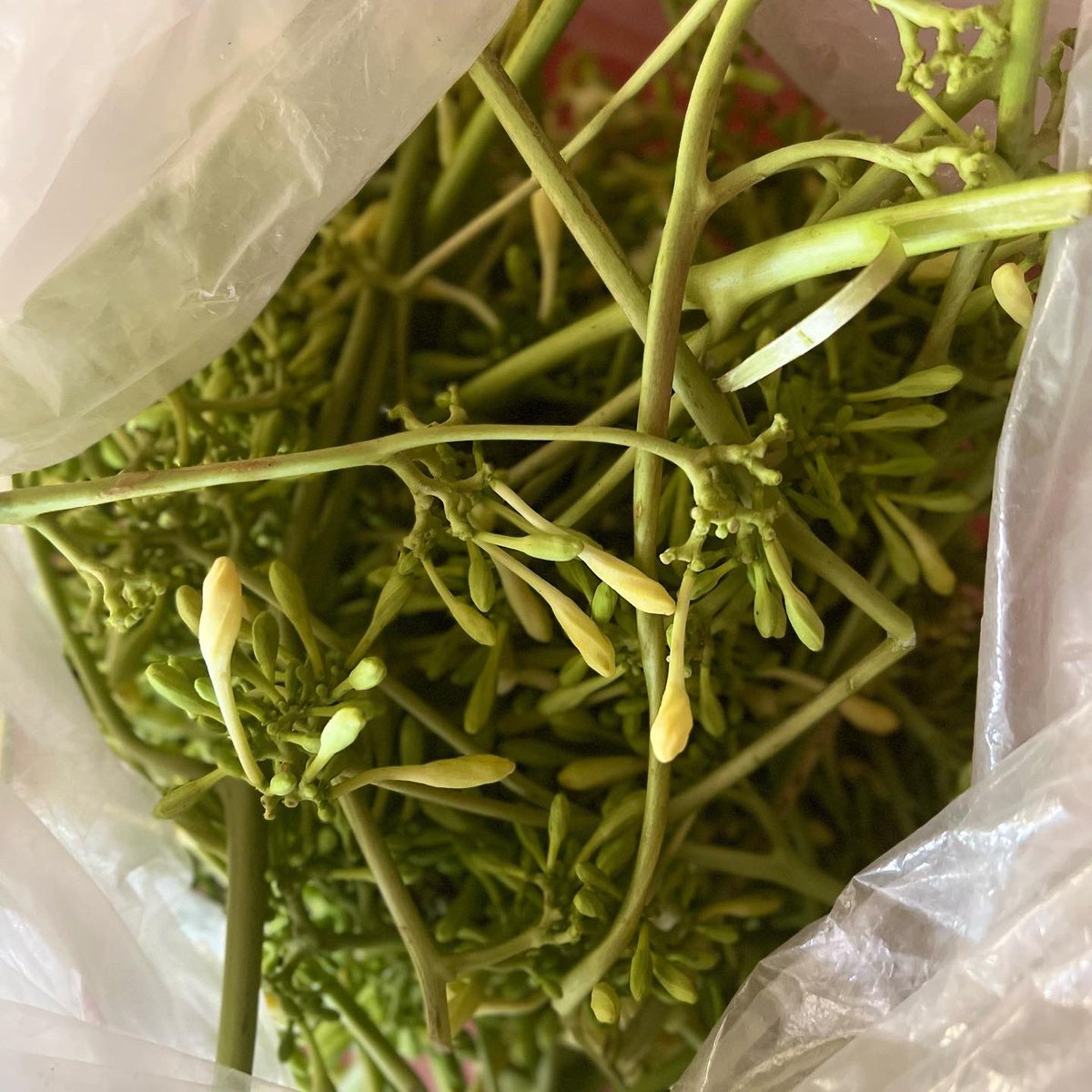 SHINEProject3's tweet photo. Successfully completed second round of Regional food program. Thank you to the hotel and restaurant those who participated and your tremendous support and cooperation during the program. Most amazingly the trial dishes was exotic banana and papaya flower from Zhemgang and Dagana. https://t.co/culc4TMn00