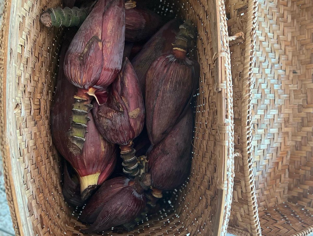 SHINEProject3's tweet photo. Successfully completed second round of Regional food program. Thank you to the hotel and restaurant those who participated and your tremendous support and cooperation during the program. Most amazingly the trial dishes was exotic banana and papaya flower from Zhemgang and Dagana. https://t.co/culc4TMn00