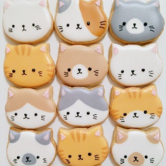leefzlix's tweet photo. good meowninggg-! ฅ^•ﻌ•^ฅ https://t.co/UhAbtKSA1h