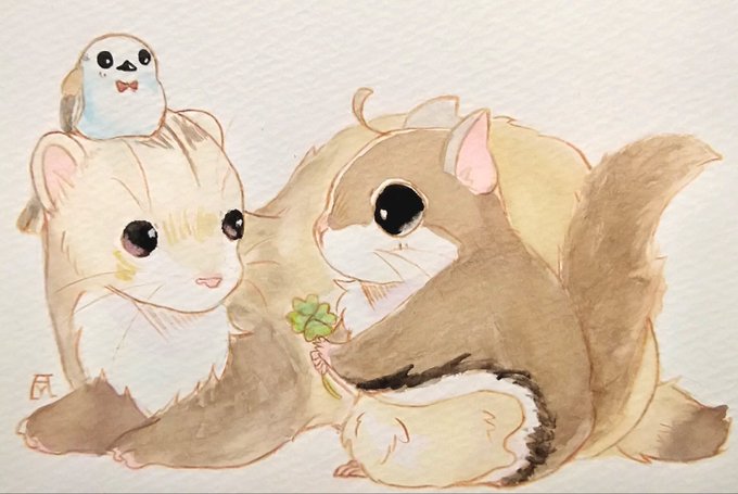 「ferret」 illustration images(Latest)