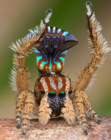 New blog post: read books on writing. You can get a lot out of reading some of these books. The question is which ones.-> ejgwrites.blogspot.com <a href="/SCBWIRockyMtn/">SCBWI Rocky Mtn (NOT MONITORED)</a>
 #kidlit  <a href="/SCBWI/">scbwi</a> #fiction