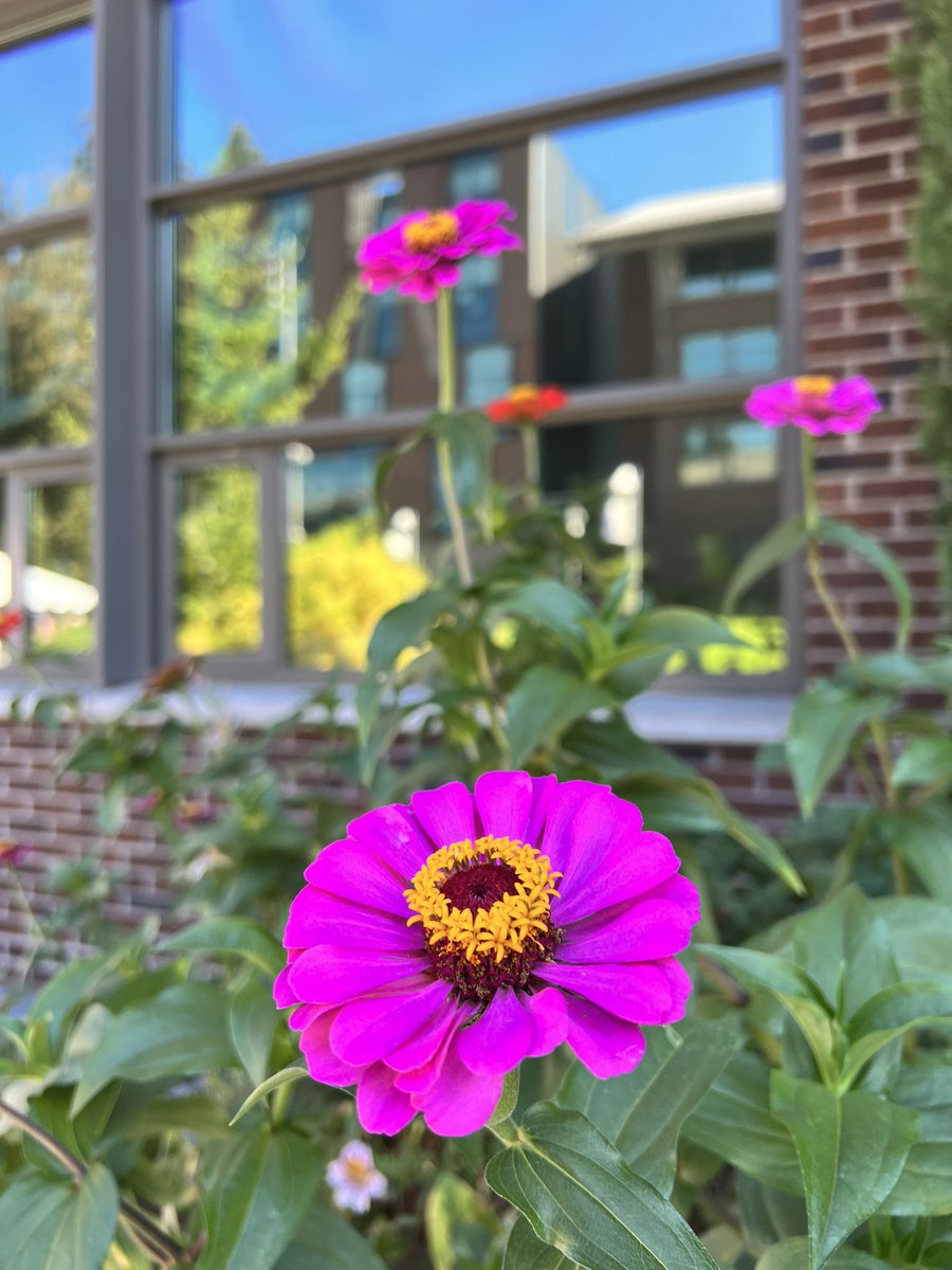 UWBothell's tweet image. 22 days until autumn quarter starts. 🌸 We can’t wait for students to return to campus! #uwbothell 🥳