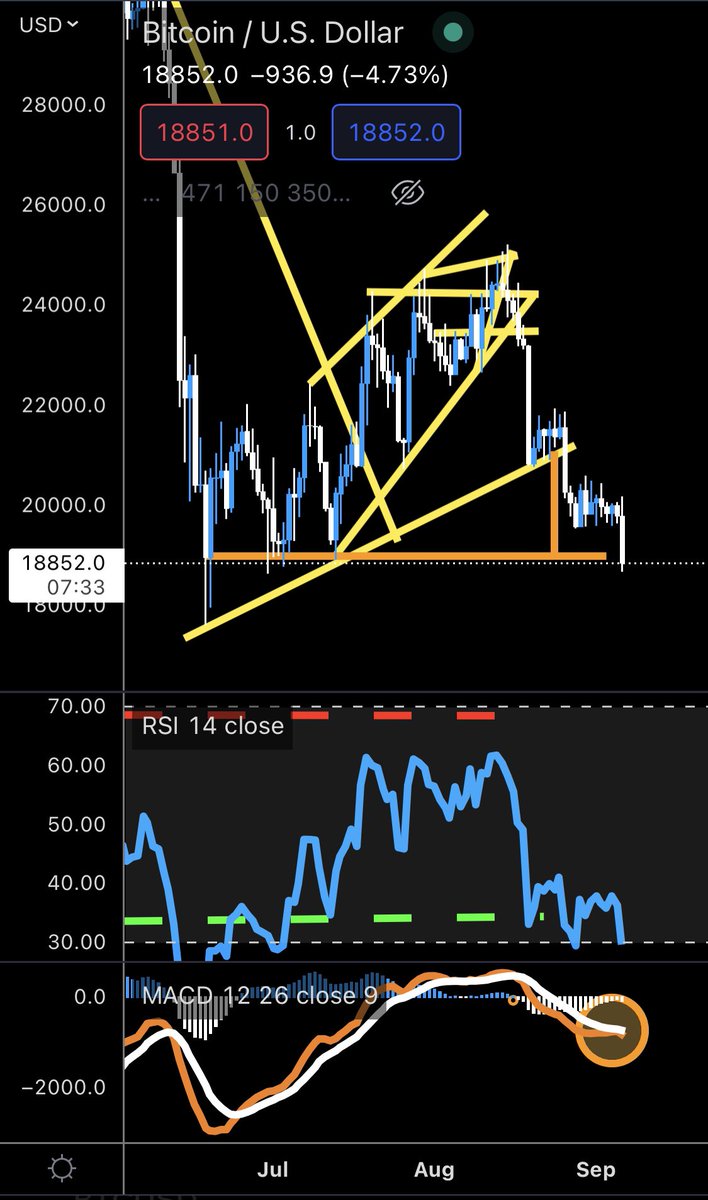 That Martini Guy ₿ tweet media