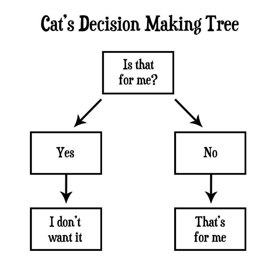 ColeTheBlackCat's tweet photo. Makes sense! 🤣
#CatMind #Cats #CatsOfTwitter https://t.co/fVWJafJZH0