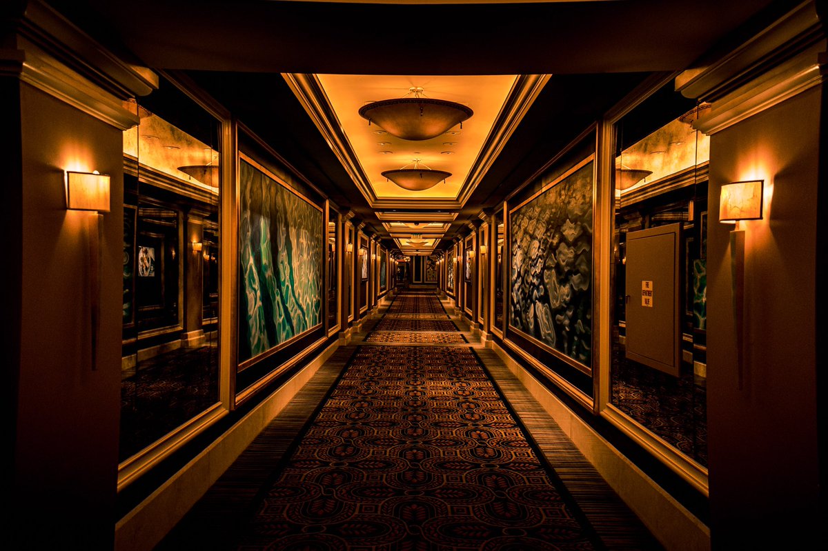 JasonPerry_'s tweet photo. Well Vegas.. Its been Fun & I’ll miss walking down this Lobby Hallway. ✌🏾 #lasvegas #nevada #travelphotography #photography #traveldiaries #nikonusa #nikoncreators #nikonphotography #beautiful #art #ceasarspalace #twittervisuals https://t.co/N1ETMQjxYD
