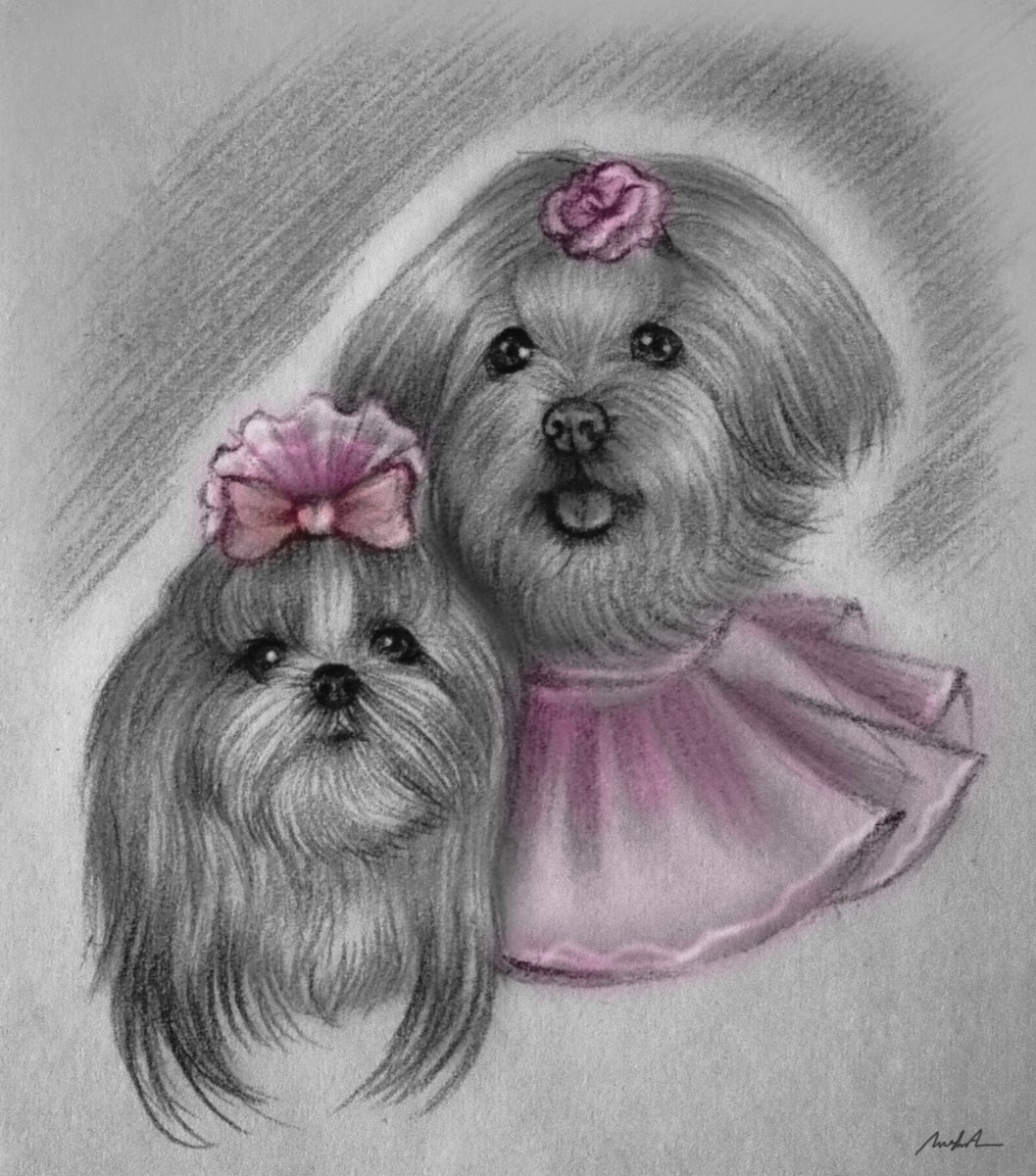 I love the old sketches. They might not look good enough, but there's always something about them.

#Niushart #NFTCommunity #NFTProject #NftColllector #MetaverseNFT #Pencildrawing #rarible #WomeninNFTs