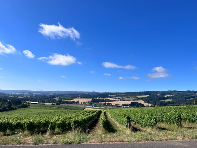 September News and Harvest Updates! - mailchi.mp/58d0d81e8033/a…